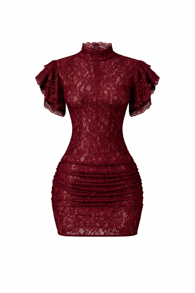 Aviora Lace Mini Dress